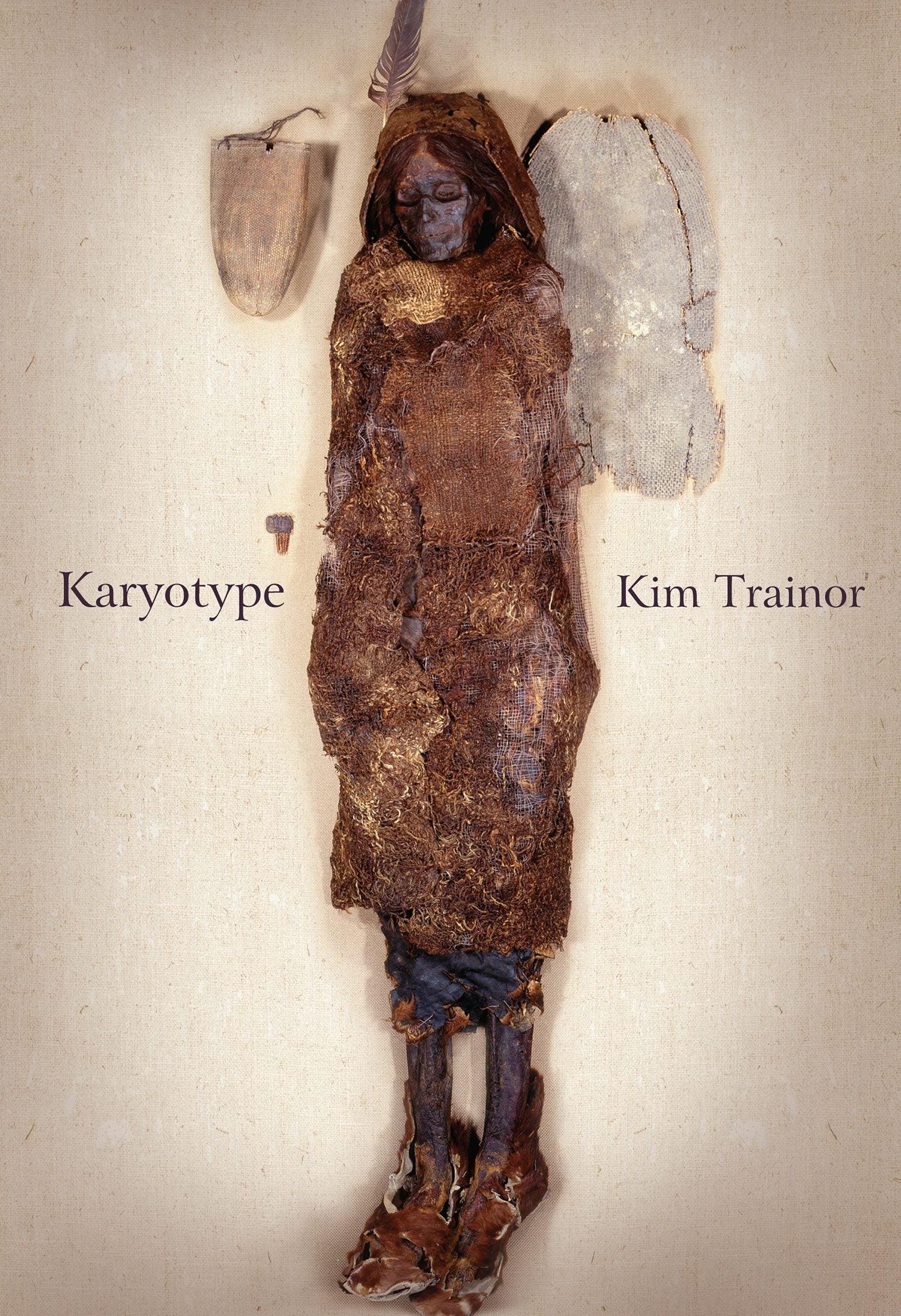 Book cover image for Karyotype ISBN: 9781771313797